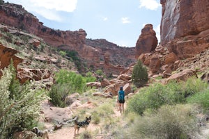 Hike Hunters Canyon