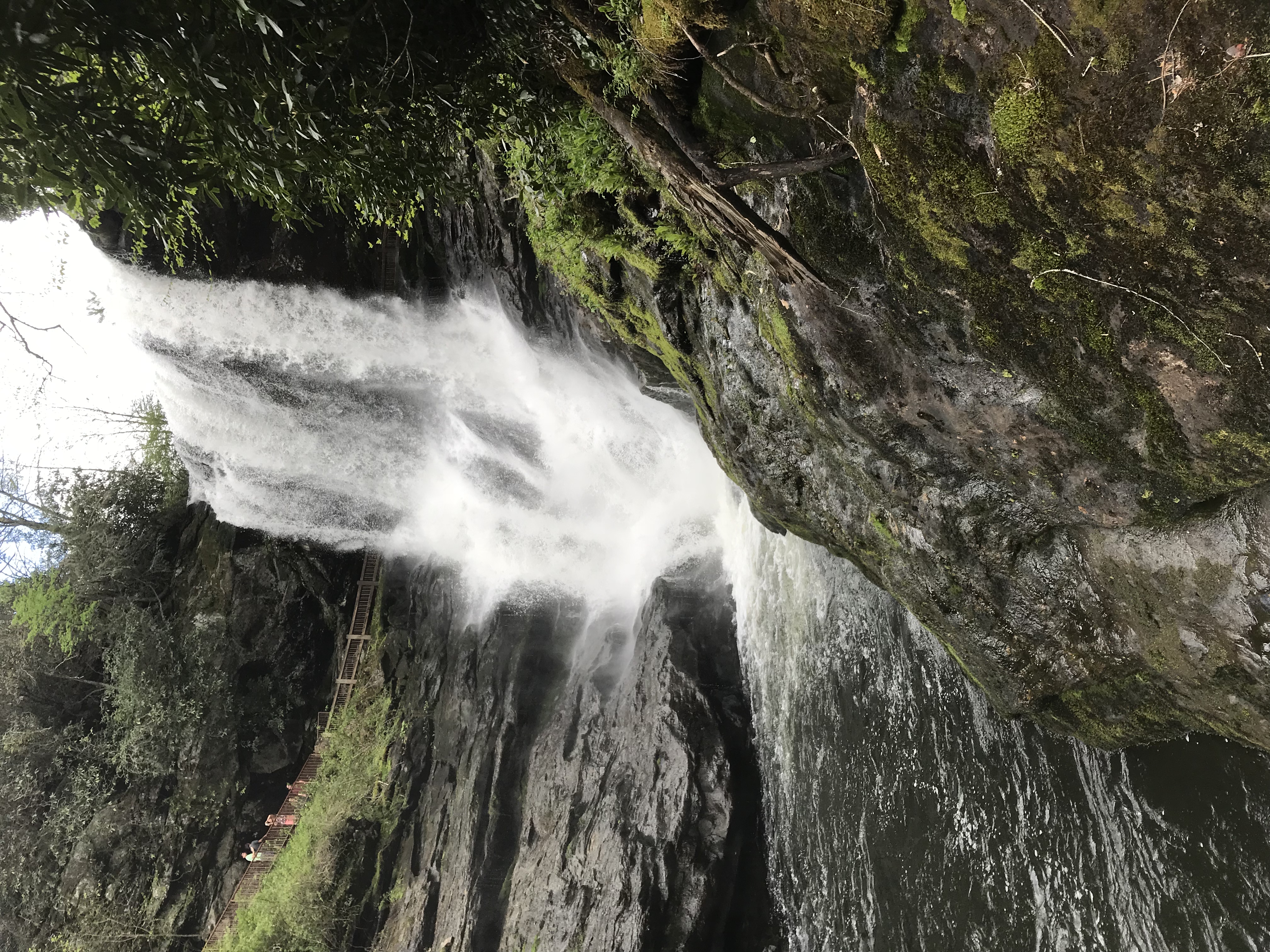Dry Falls