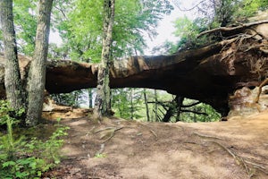 Hike the Red River Trail 