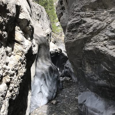 Hiking Jura Creek