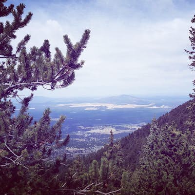 Hike to Humprey's Peak Summit