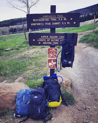 Hike to Humprey's Peak Summit