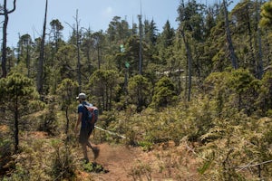 Hike to the Bomber Plane Crash Site in Tofino, BC