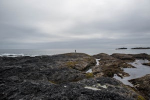 Explore Tide Pools at Chesterman Beach, Tofino, BC