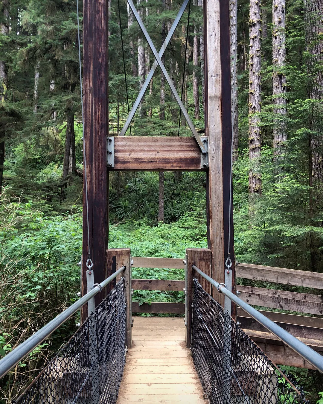 Drift Creek Falls