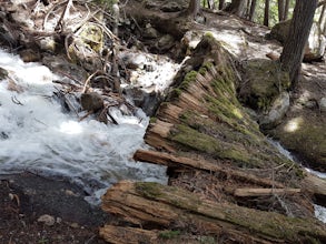 Hike to Broken Bridge Falls