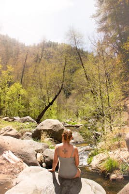Swim in Oak Creek Canyon
