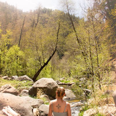 Swim in Oak Creek Canyon