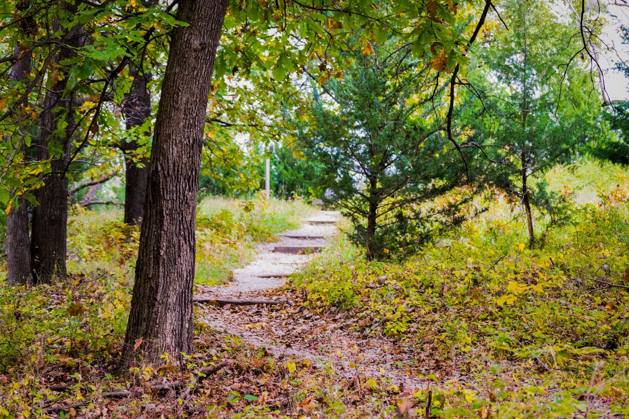 Hike Parkville Nature Sanctuary