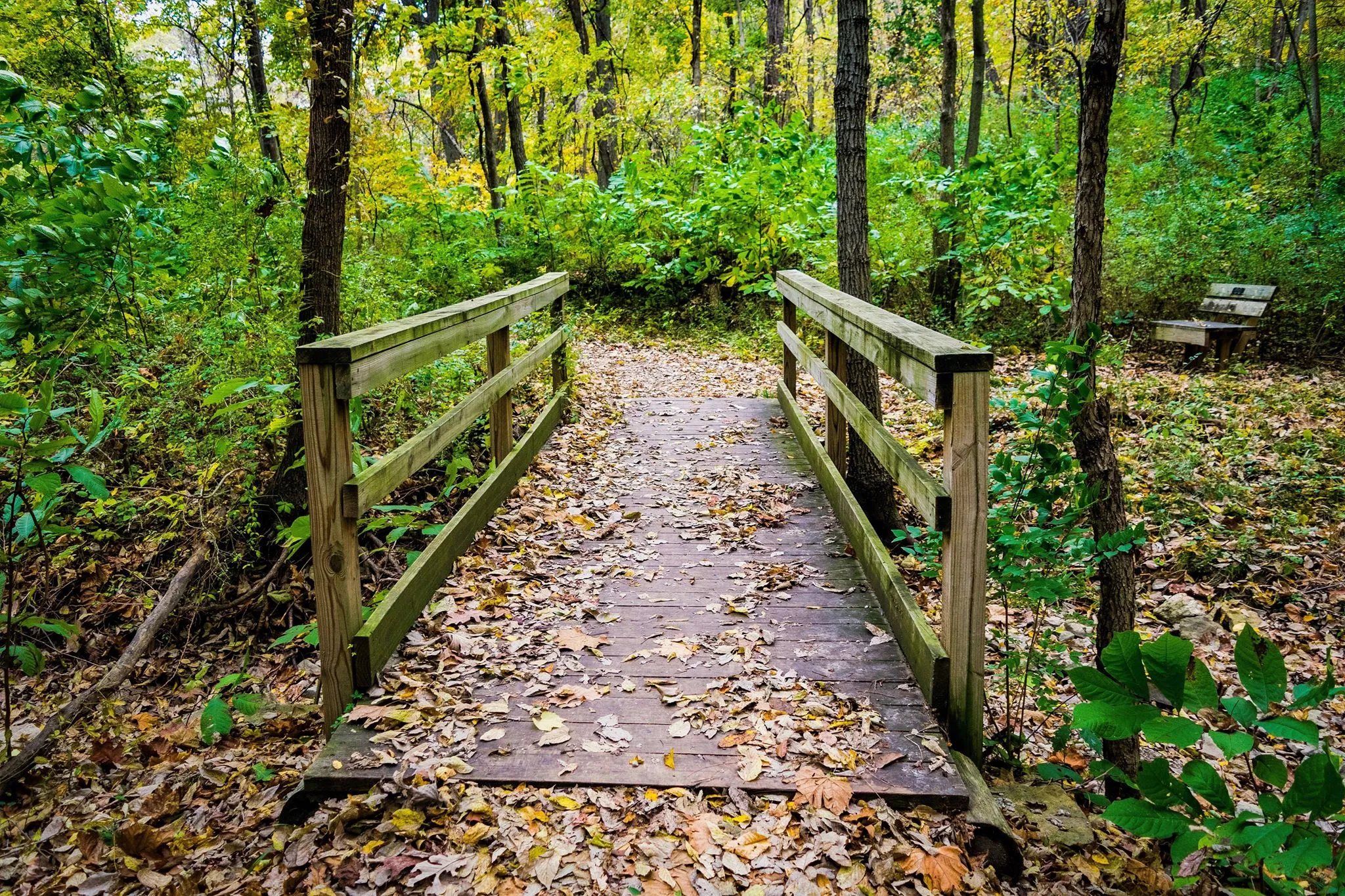 Hike Parkville Nature Sanctuary