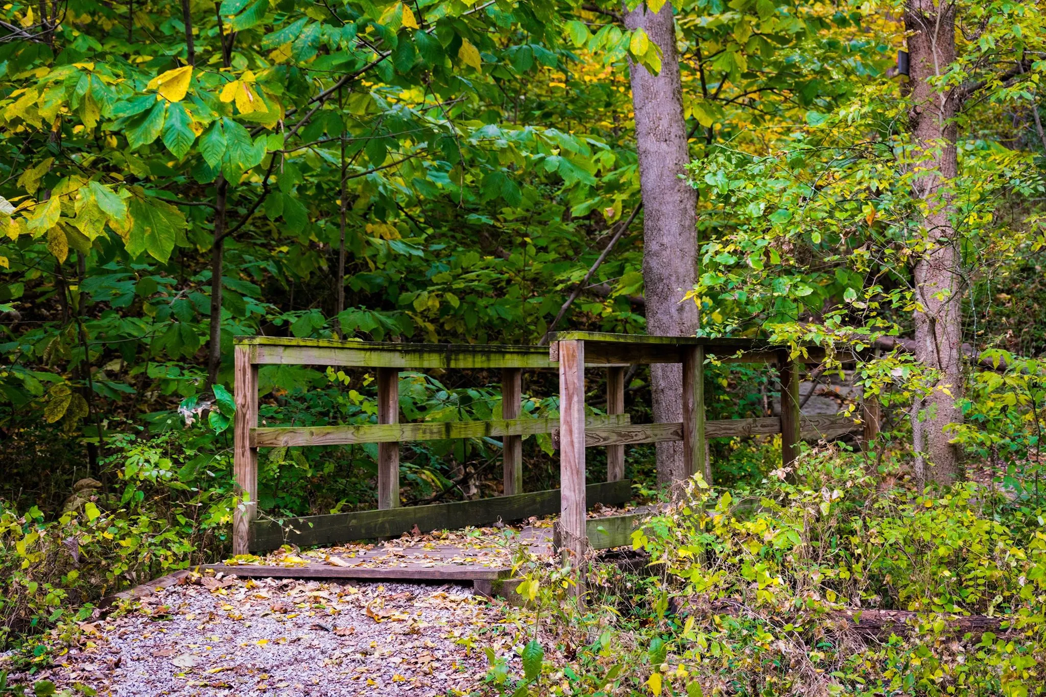 Hike Parkville Nature Sanctuary