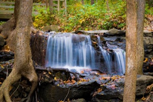 Hike Parkville Nature Sanctuary