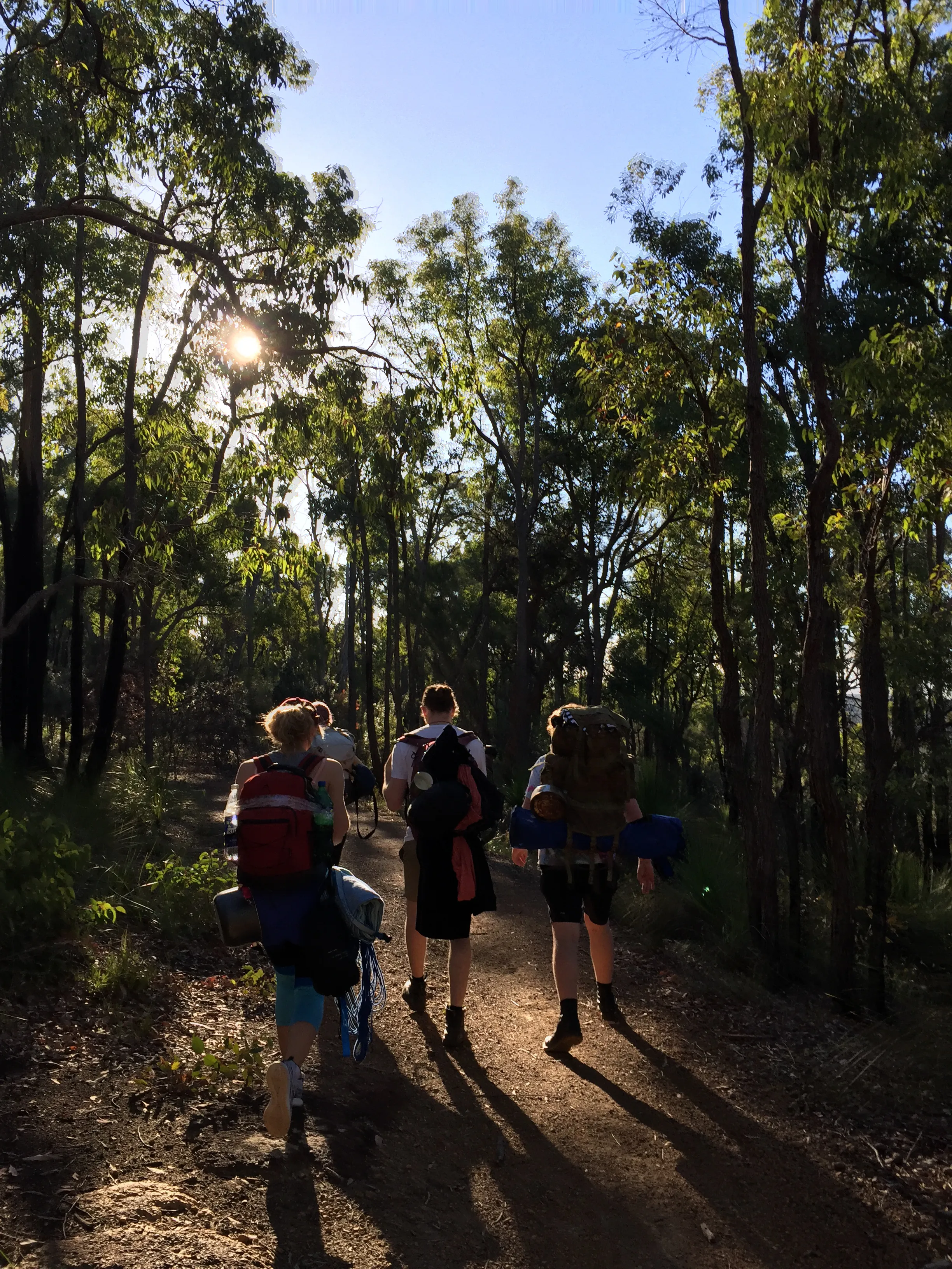Hike the Bibbulmun Track