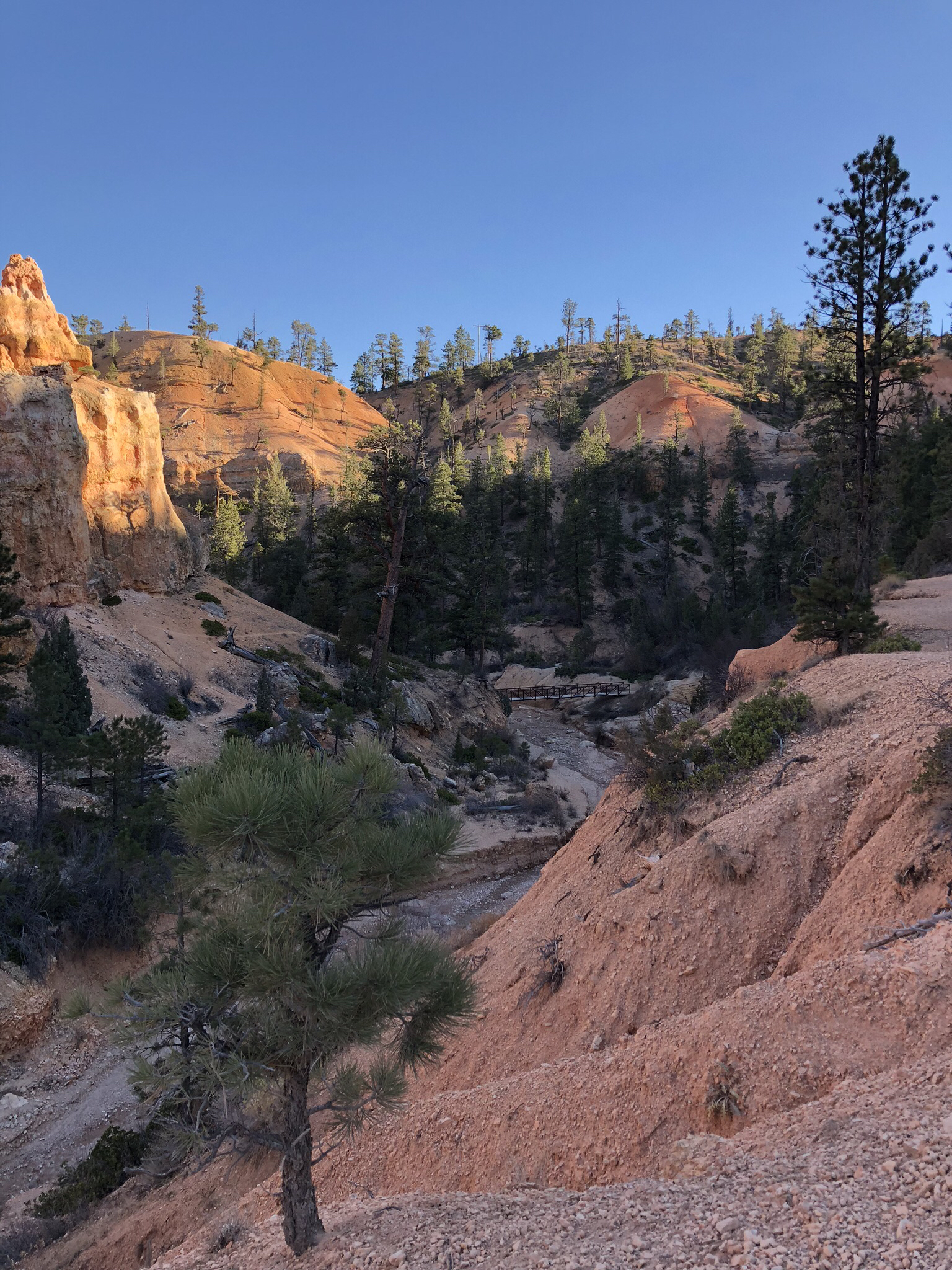 Hike Mossy Cave in Bryce Canyon