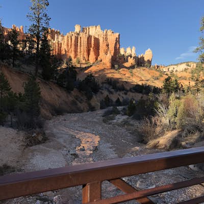 Hike Mossy Cave in Bryce Canyon