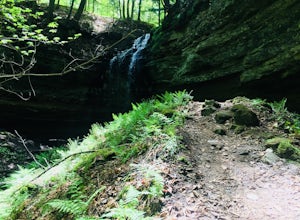 Hike to Tannery Falls