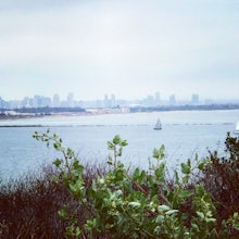 Bayside Trail 