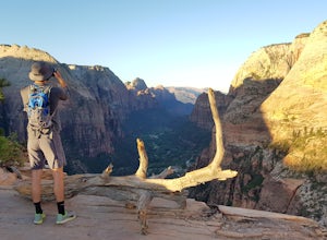 How to Get the Ultimate Solitude and Beat the Crowds in Zion National Park