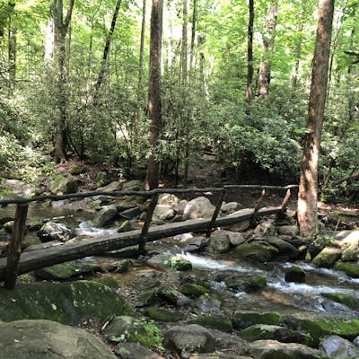 Hike to Hen Wallow Falls in Great Smoky Mountains NP