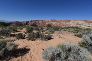 Hike the Whiterocks Trail