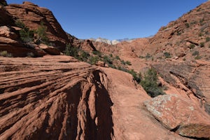 Hike Padre Canyon