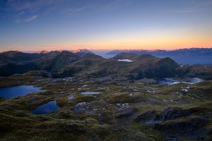 The Evolution of a Fiordland Mountain Runner