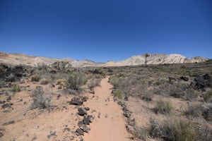 Hike the Lava Flow Trail
