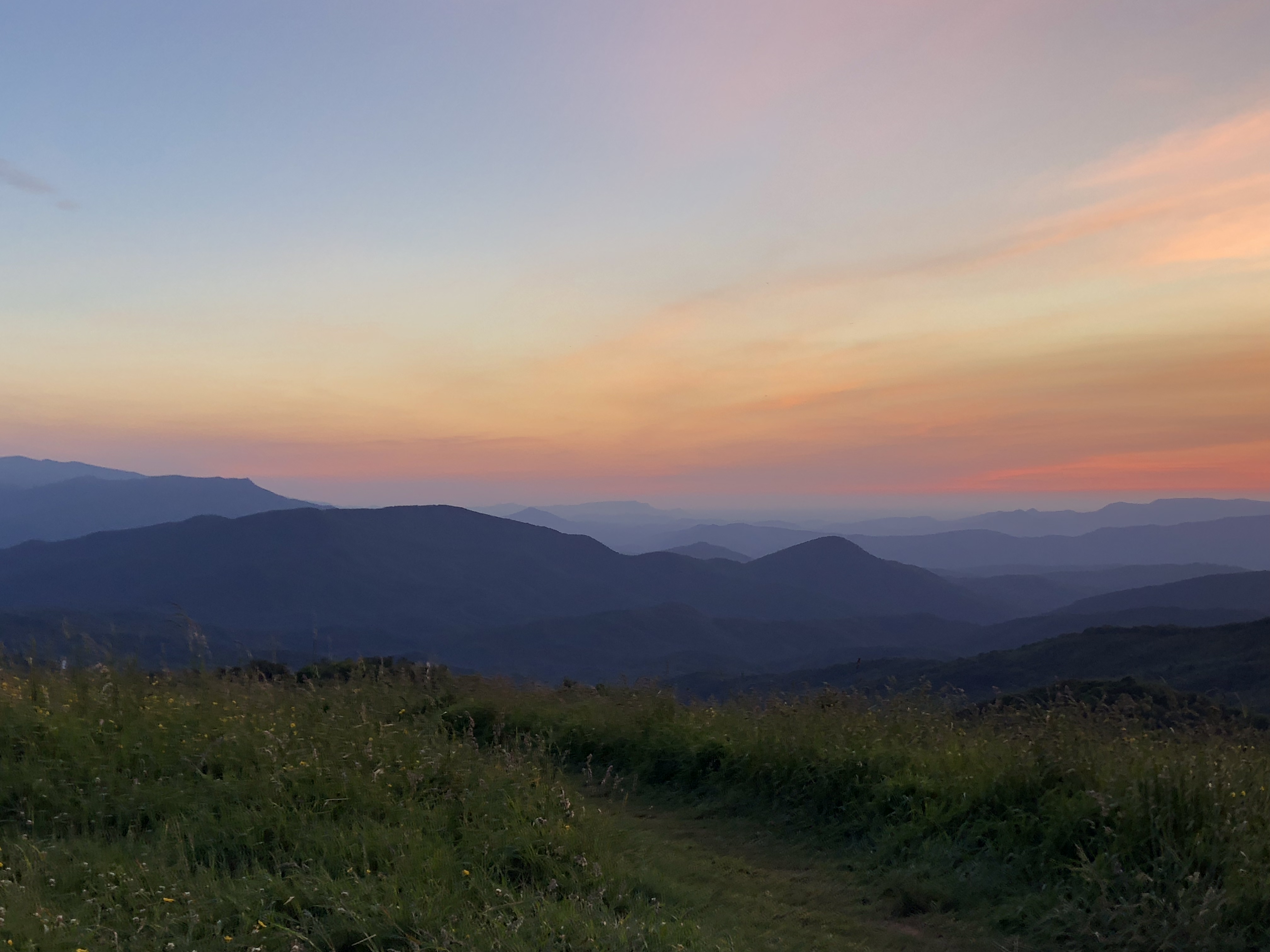 Max Patch Mountain
