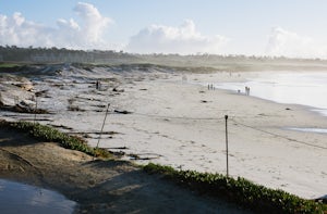 5 Must-Do Adventures near Asilomar, California