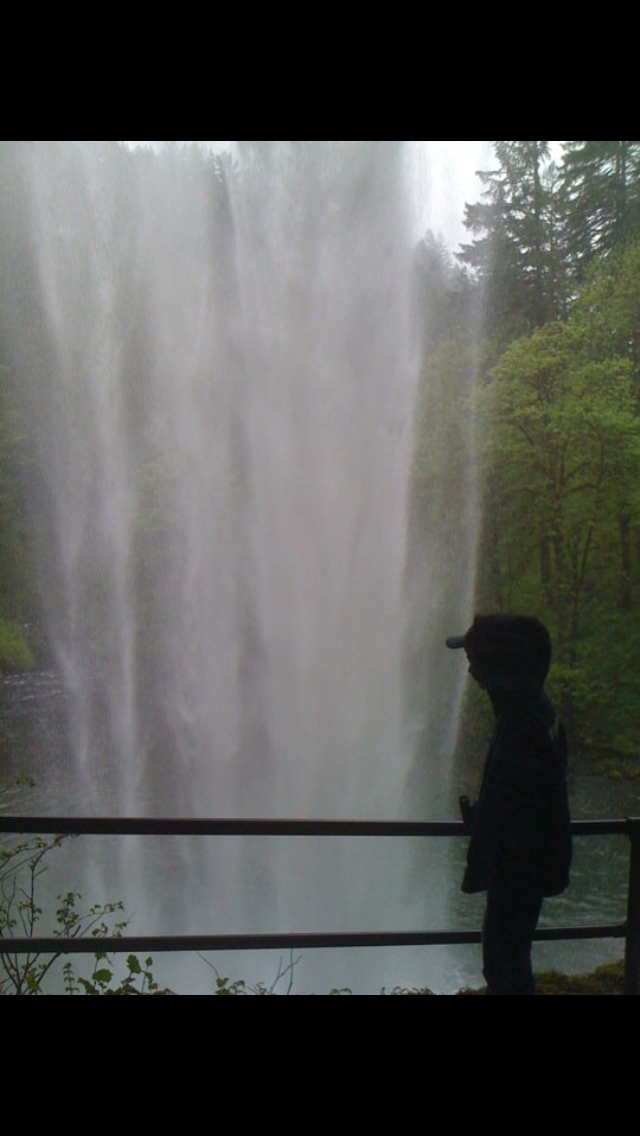 Camp in Silver Falls State Park