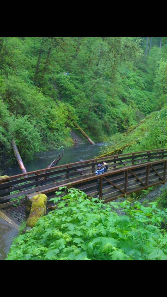 Camp in Silver Falls State Park