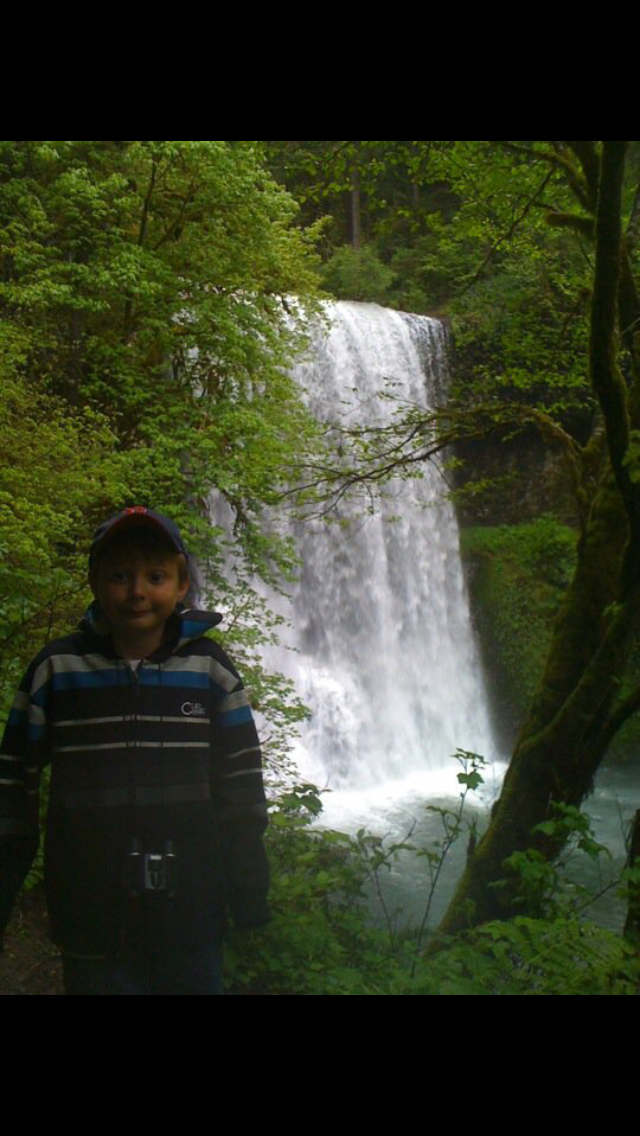 Camp in Silver Falls State Park