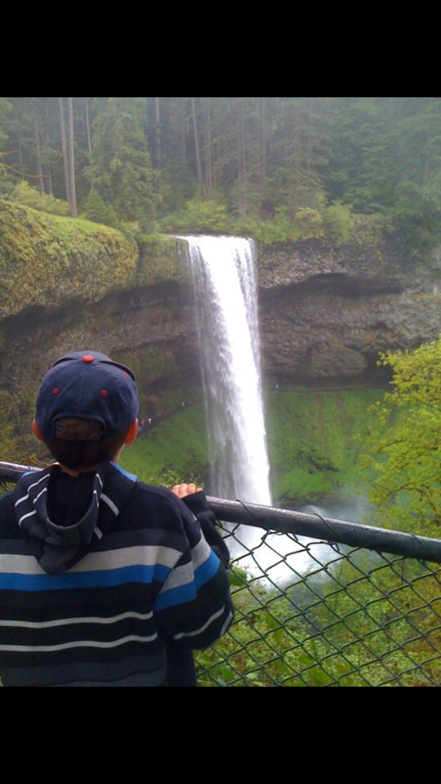 Camp in Silver Falls State Park