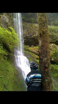 Camp in Silver Falls State Park