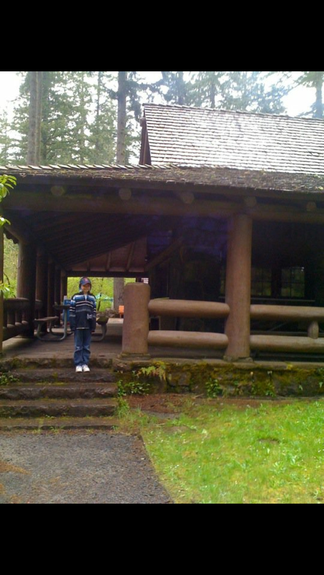 Camp in Silver Falls State Park