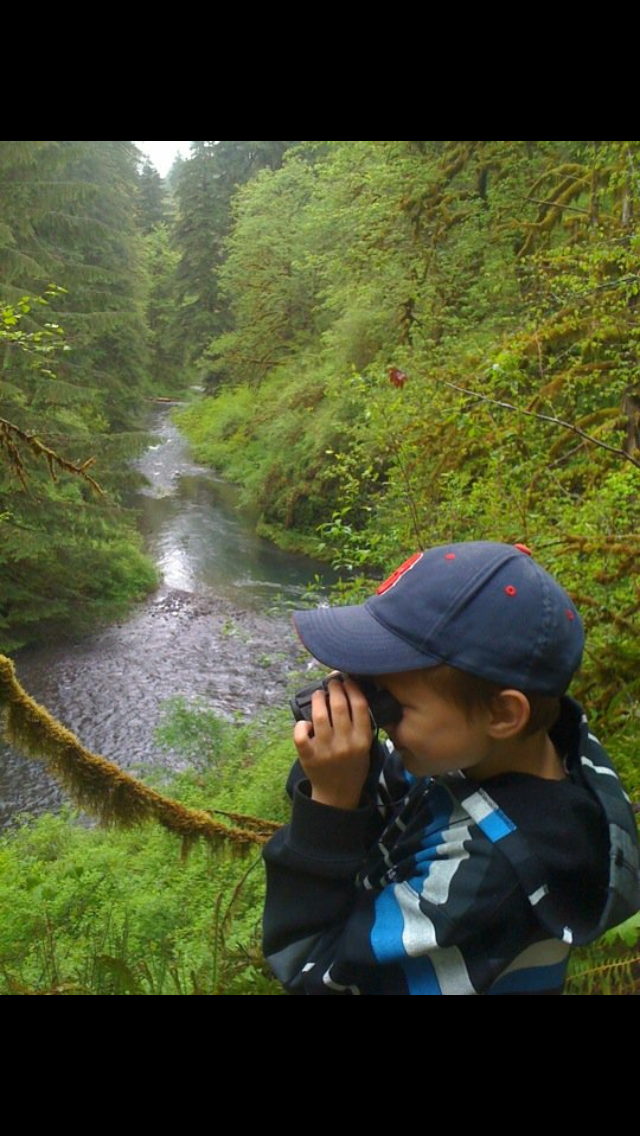 Camp in Silver Falls State Park