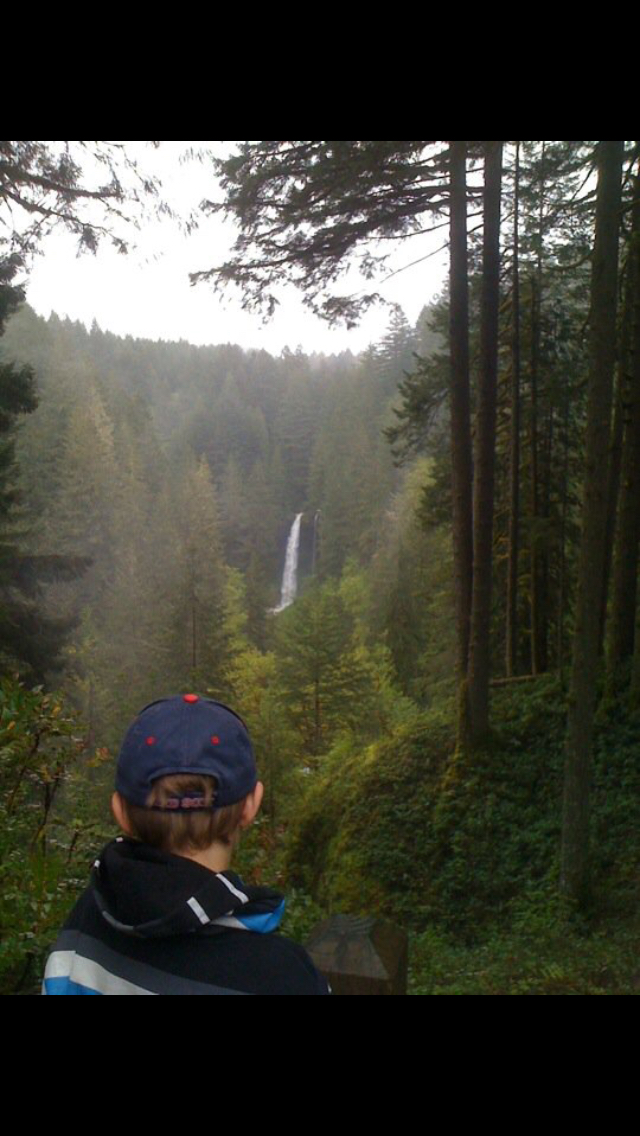 Camp in Silver Falls State Park