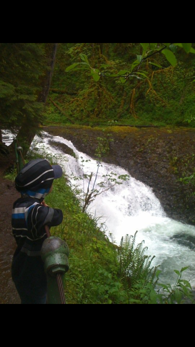 Camp in Silver Falls State Park