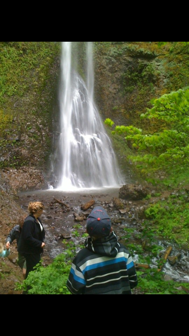 Camp in Silver Falls State Park
