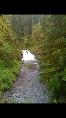 Camp in Silver Falls State Park