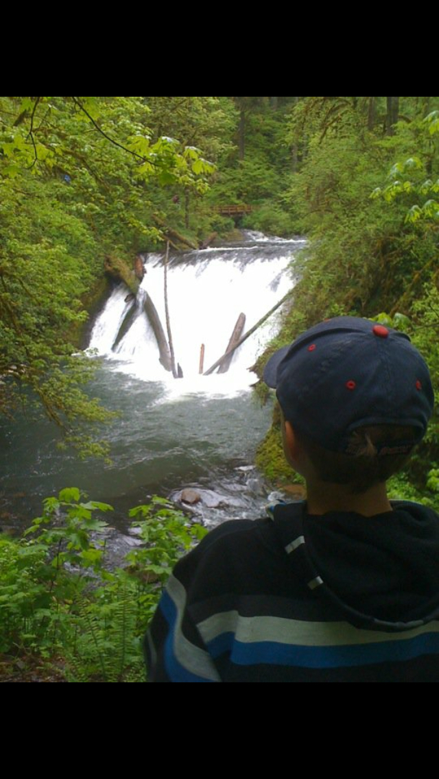Camp in Silver Falls State Park