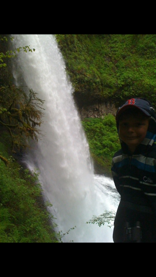 Camp in Silver Falls State Park