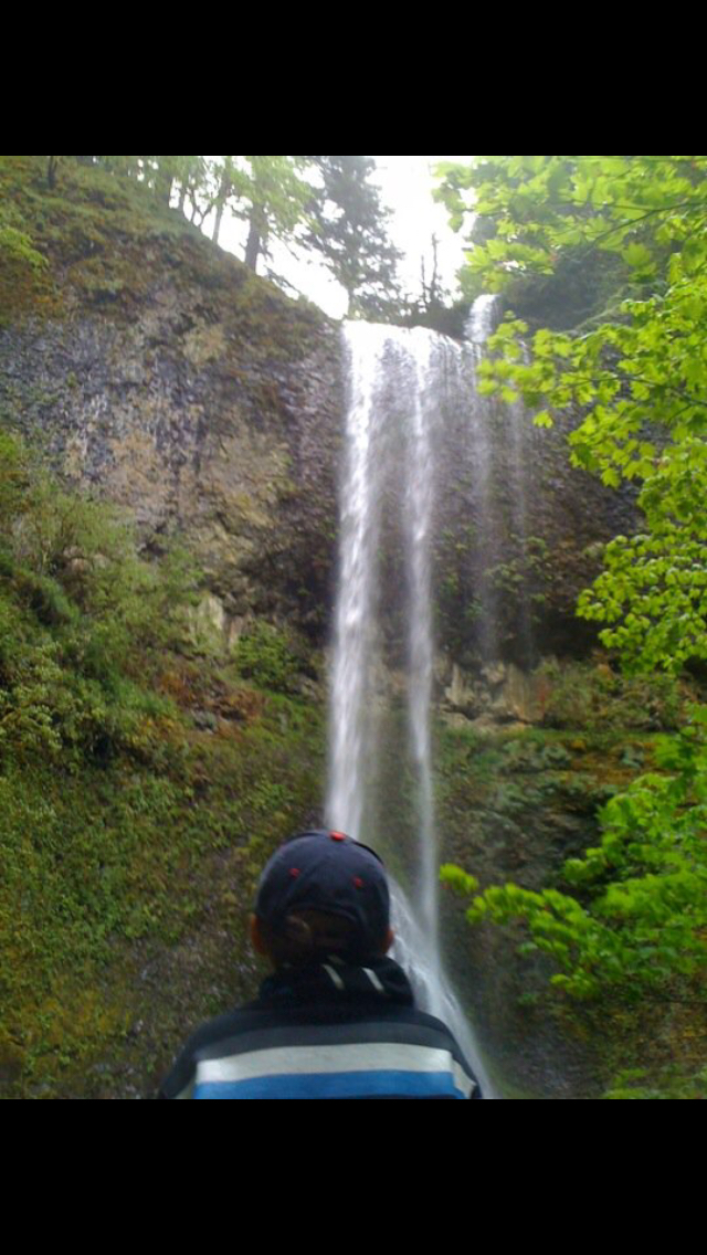 Camp in Silver Falls State Park