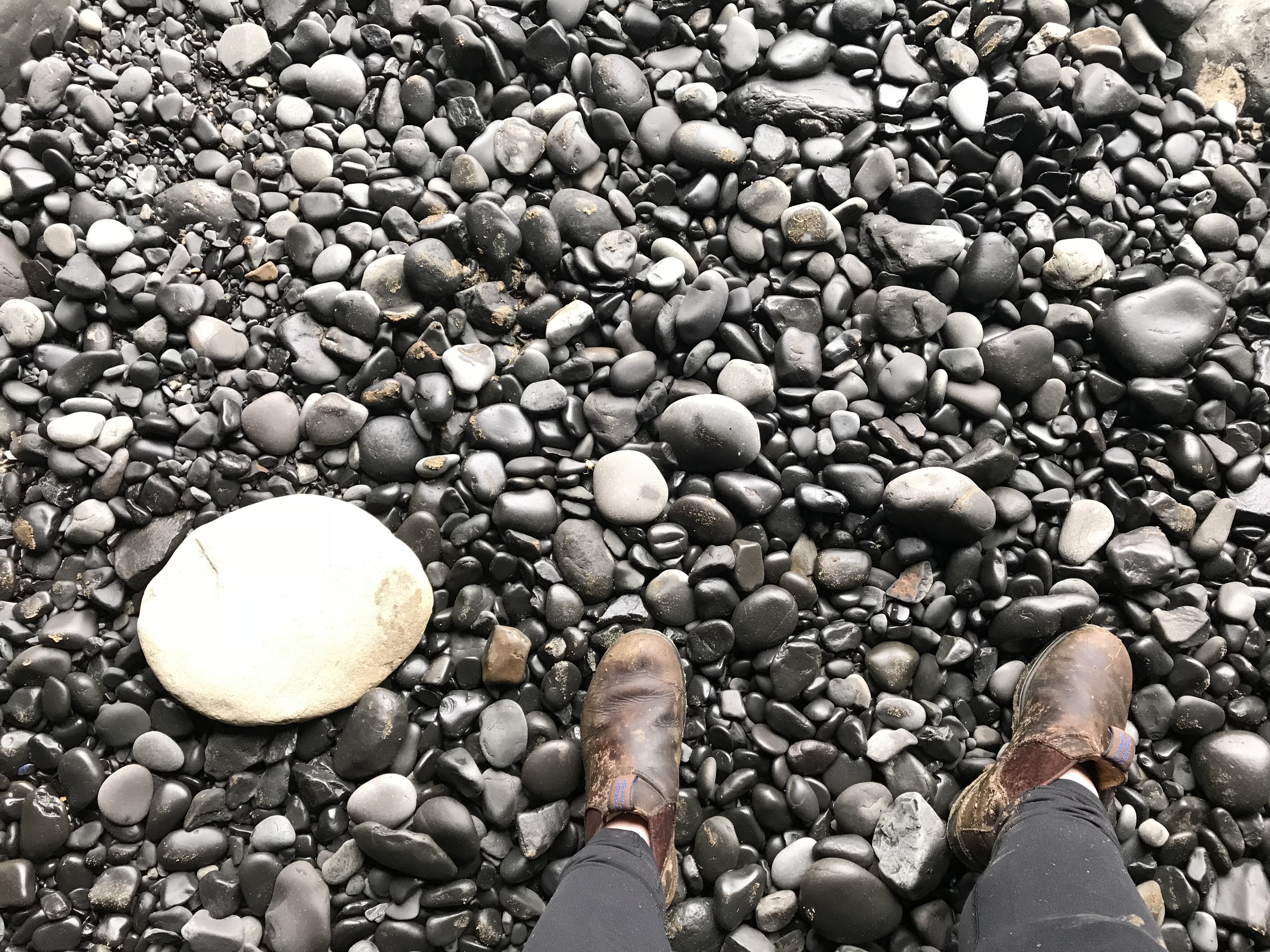 Explore Ecola State Park