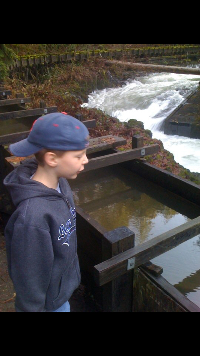 Explore the Cedar Grist Mill