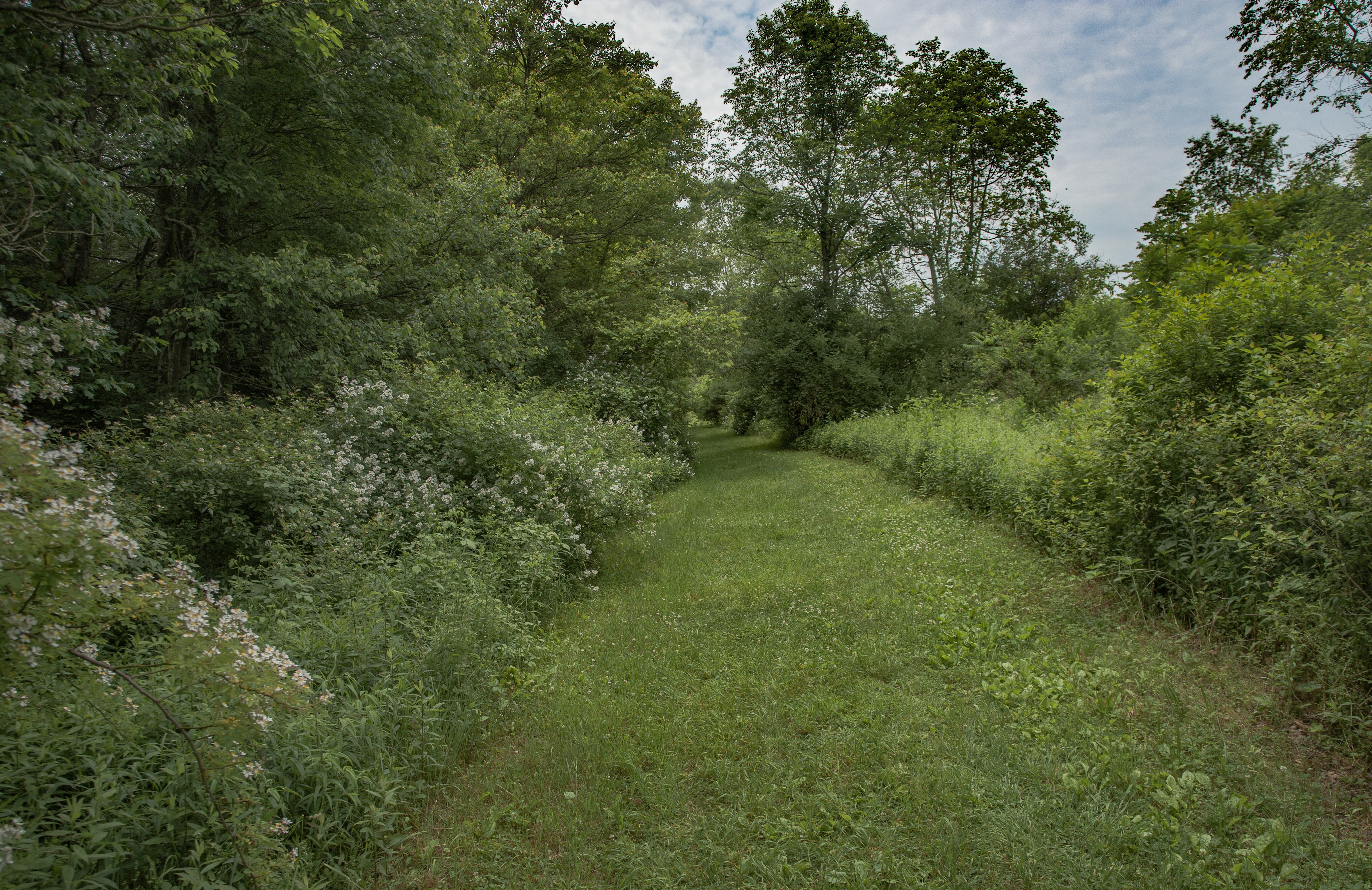 Christman and Falls Trail Loop