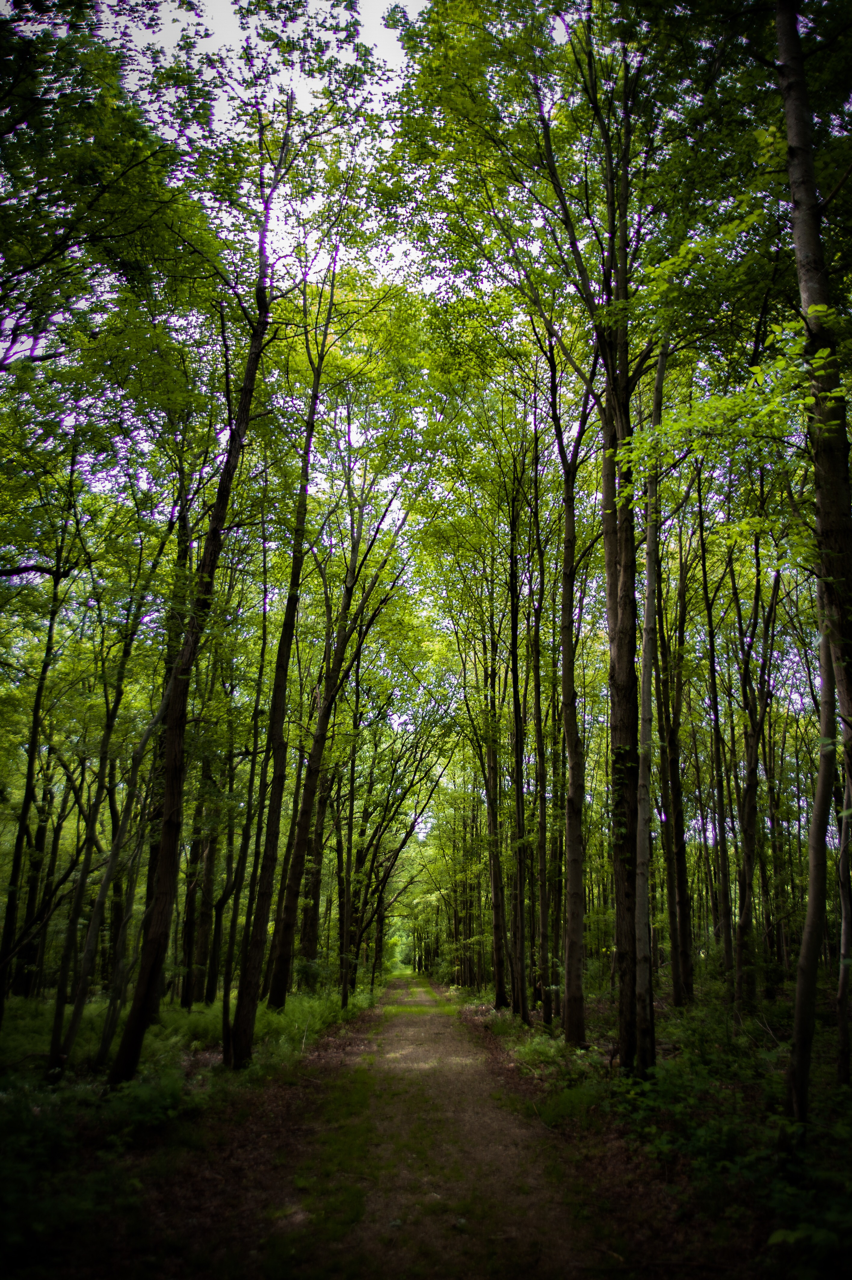 Christman and Falls Trail Loop