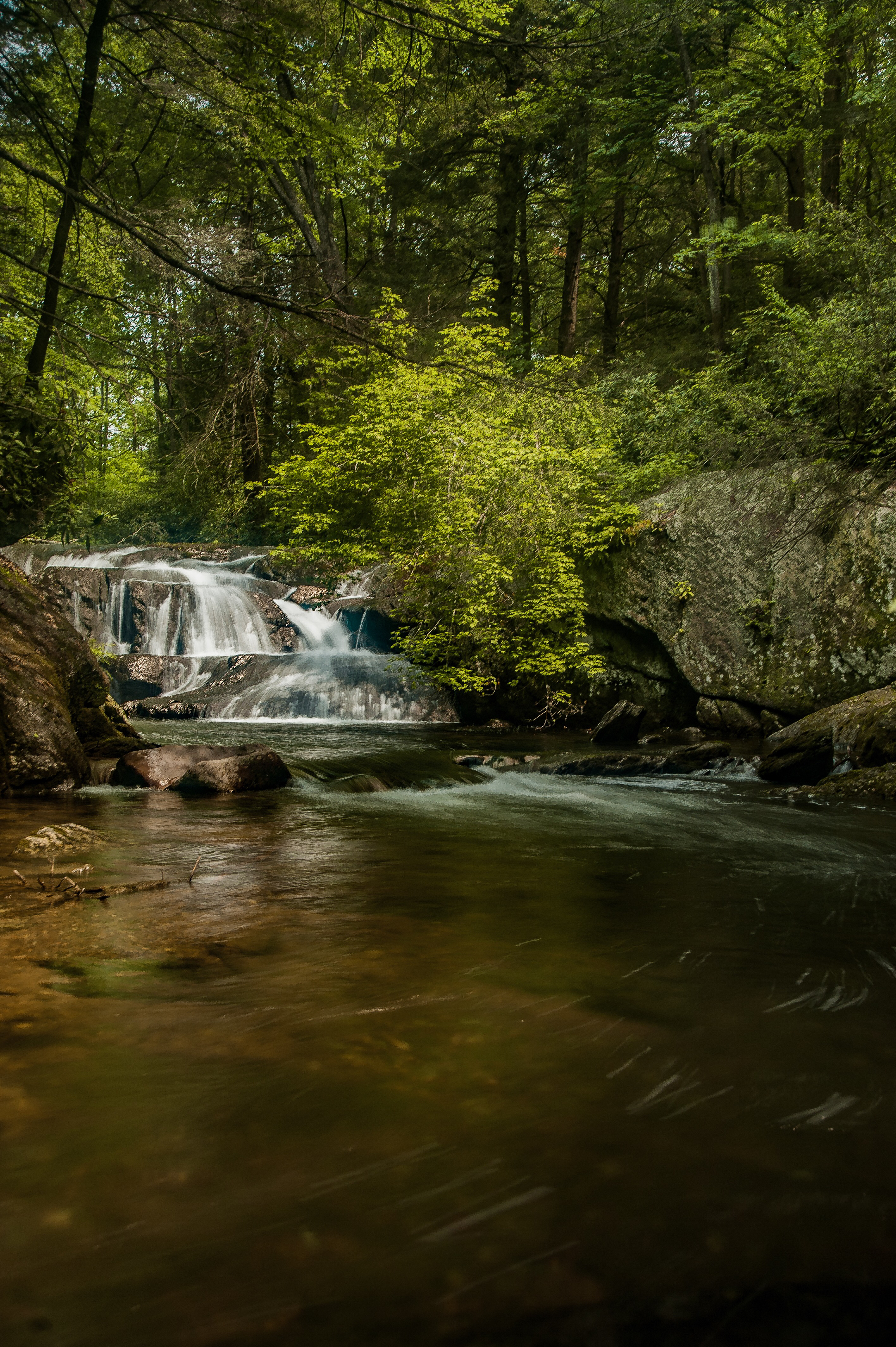 Christman and Falls Trail Loop
