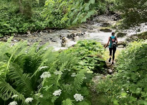 Hike to Sintersbacher Waterfall