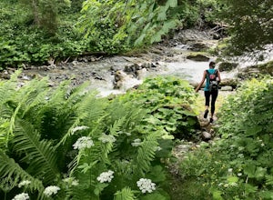 Hike to Sintersbacher Waterfall